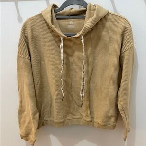 Aerie Cropped Oversized Hoodie